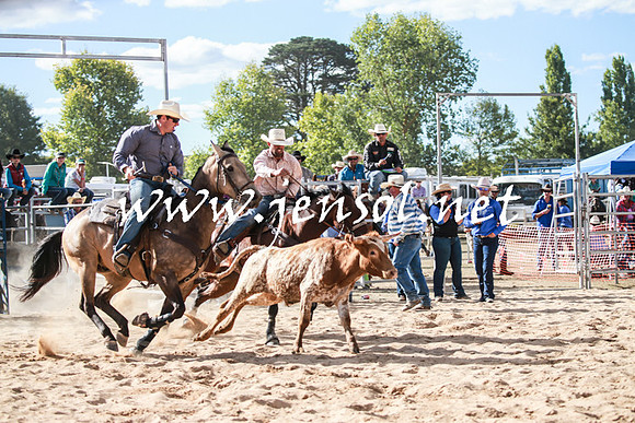 BraidwoodRodeo2016_4044