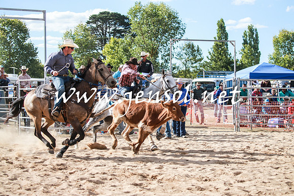 BraidwoodRodeo2016_4015