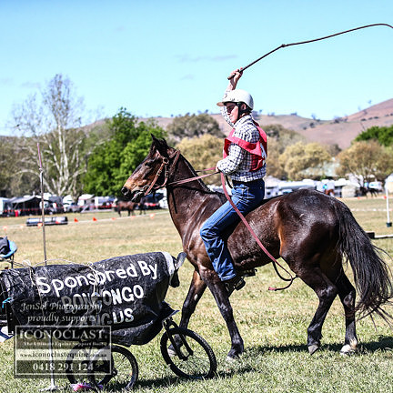 BOTBre-2094