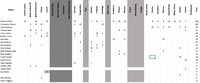 11_U14_Steer