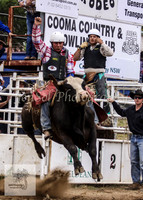Cooma_Rodeo 251