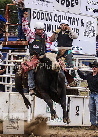 Cooma_Rodeo 251