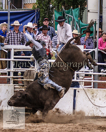 Cooma_Rodeo 708