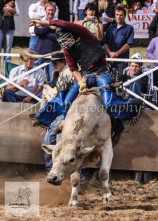 Cooma_Rodeo 427