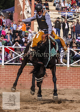 Cooma_Rodeo 501