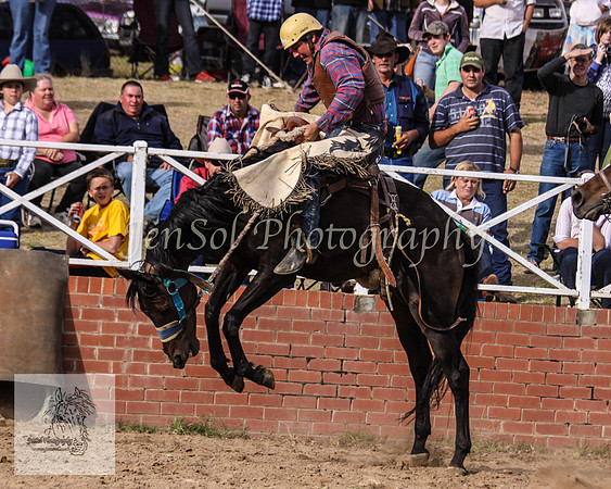 Cooma_Rodeo 528