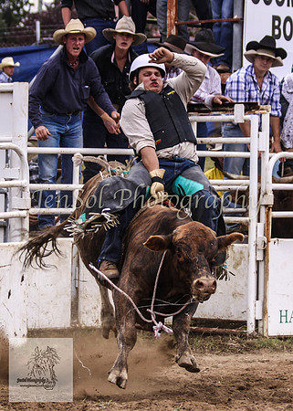Cooma_Rodeo 271