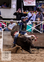 Cooma_Rodeo 240