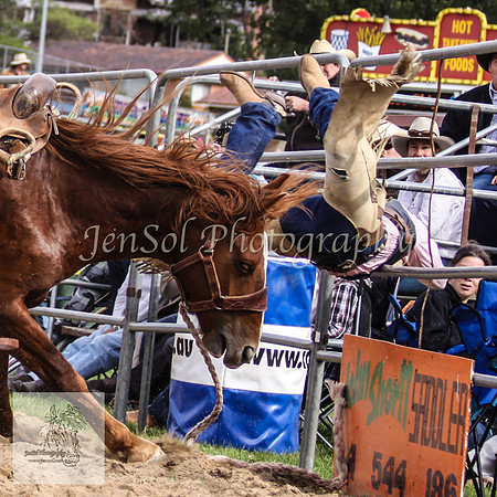 Cooma_Rodeo 398