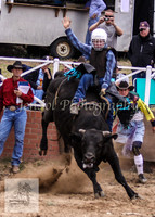 Cooma_Rodeo 267