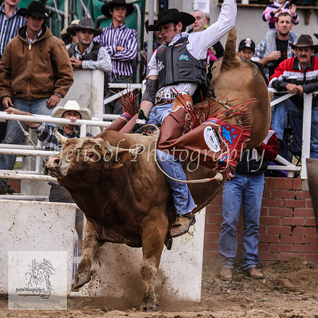 Cooma_Rodeo 745