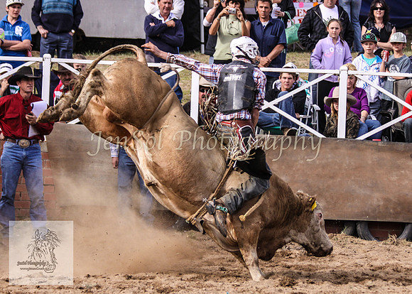 Cooma_Rodeo 424