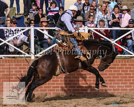 Cooma_Rodeo 511