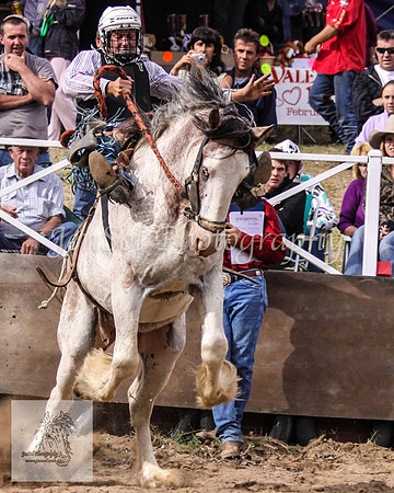 Cooma_Rodeo 381