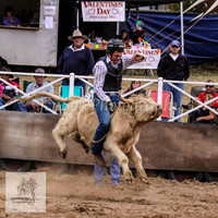 Cooma_Rodeo 215