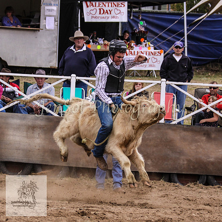 Cooma_Rodeo 215