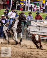 Cooma_Rodeo 201