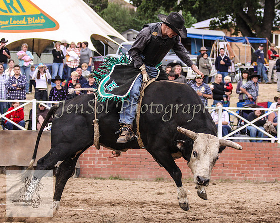 Cooma_Rodeo 700