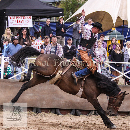 Cooma_Rodeo 772