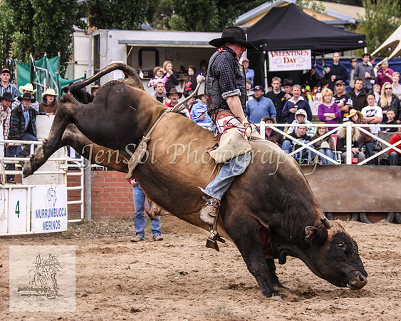 Cooma_Rodeo 734