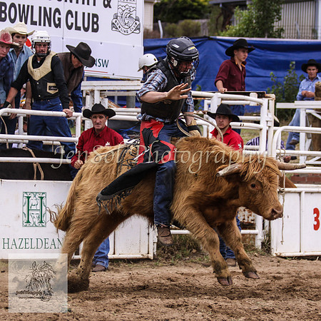 Cooma_Rodeo 229
