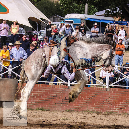 Cooma_Rodeo 386