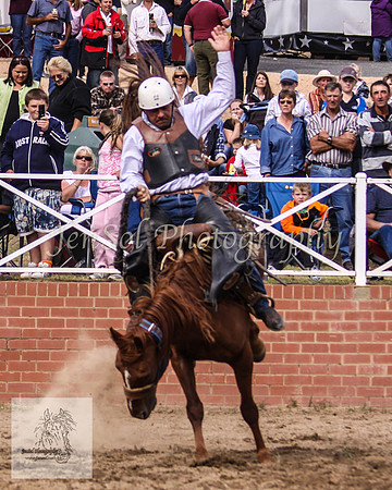 Cooma_Rodeo 377