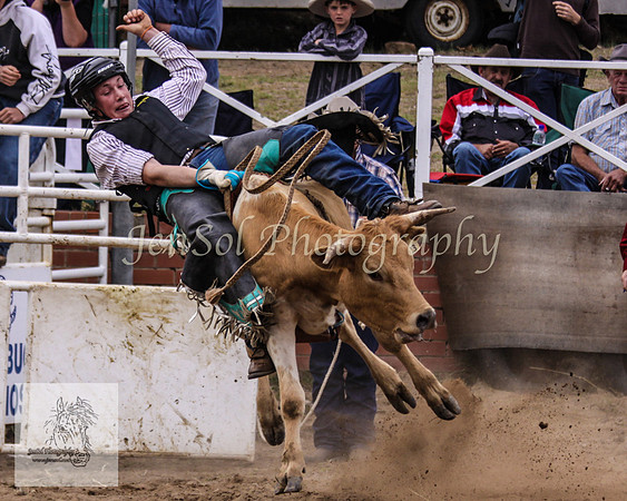 Cooma_Rodeo 347