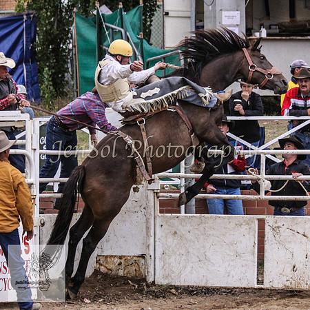 Cooma_Rodeo 796