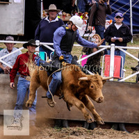 Cooma_Rodeo 221