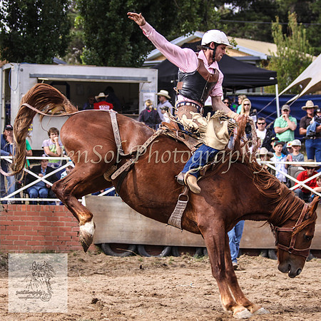 Cooma_Rodeo 394