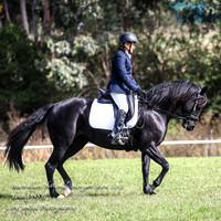 ANMS2018_1455