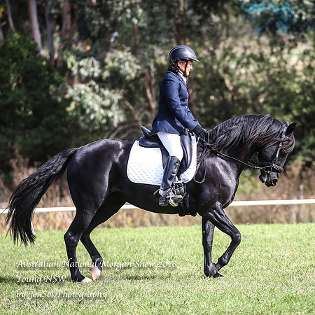ANMS2018_1455
