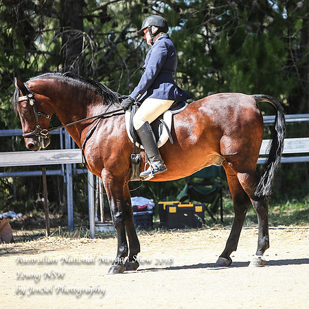 ANMS2018_3336