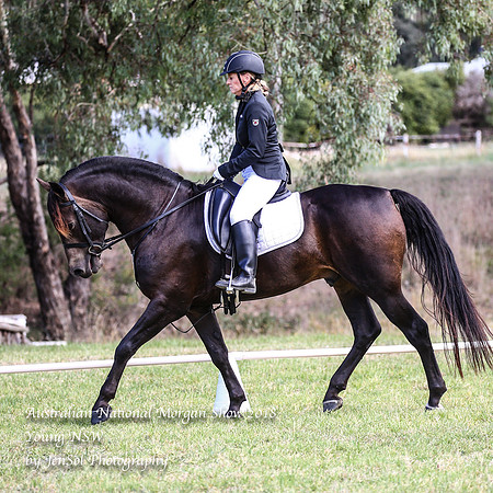 ANMS2018_1492