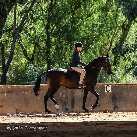 ANMS2018_3482