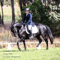 ANMS2018_1447