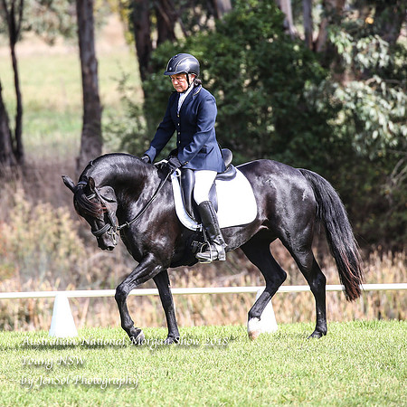 ANMS2018_1447