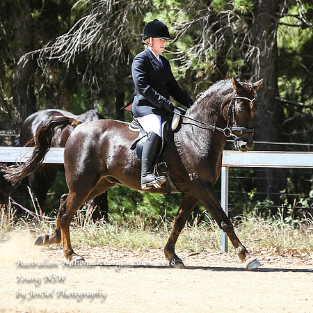 ANMS2018_3385