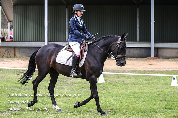 ANMS2018_1359