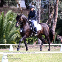 ANMS2018_1468