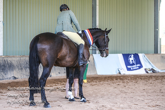 ANMS2018_3313