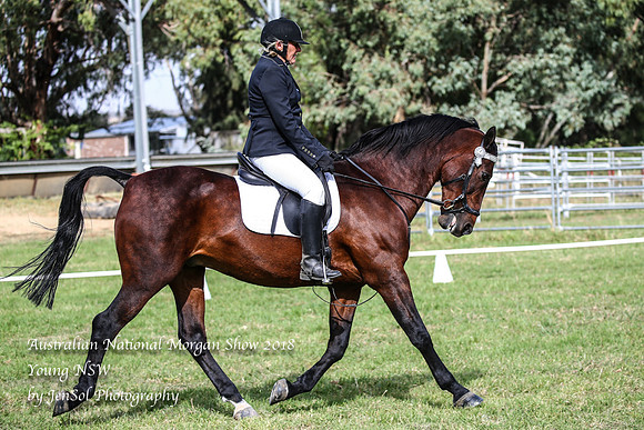 ANMS2018_1544
