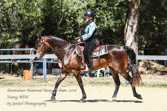 ANMS2018_3370