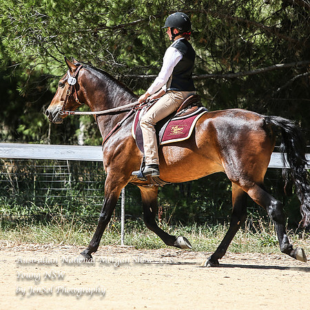 ANMS2018_3393
