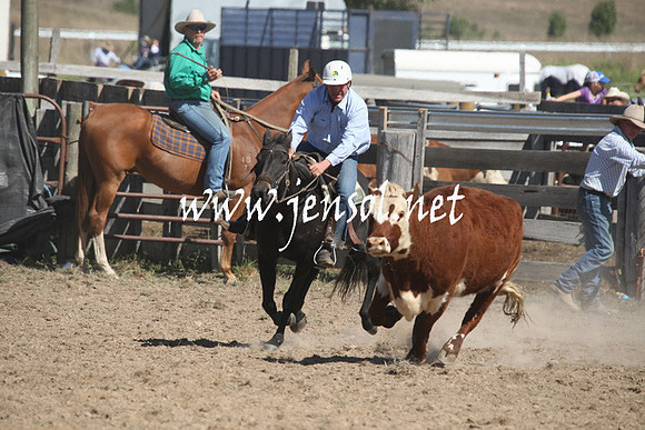 BombalaCampdraft2013Sat_0501