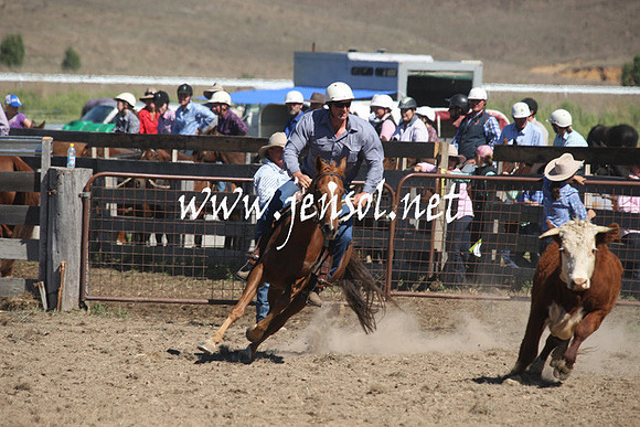 BombalaCampdraft2013Sat_0435