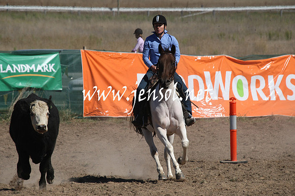 BombalaCampdraft2013Sat_0408