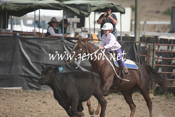 BombalaCampdraft2013Sat_0648