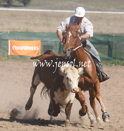BombalaCampdraft2013Sat_0239